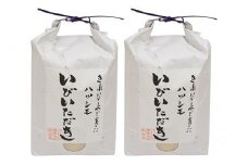 ＪＡいび川プレミアム米「いびいただき」/白米10kg [№5644-0579]