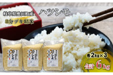 米 6kg (2kg×3袋) ハツシモ 池田町産 8分づき セット 分つき精米 お米 おこめ こめ コメ ごはん ご飯 有機肥料 減農薬栽培 はつしも 岐阜県