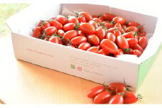 HOSONOFARMプレミアムミニトマト「スピカ」2kg [№5644-0651]