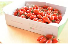 HOSONOFARMプレミアムミニトマト「スピカ」1kg [№5644-0650]