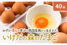 【ふるさと納税】卵 わずか4%の希少な純国産鶏 いけだの森たまご 40個 こだわり おこめのたまご 玉子 鶏卵 生卵 産地直送 冷蔵配送 TKG 卵かけご飯 岐阜県産