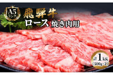 飛騨牛 焼肉 ロース 500g×2 計1kg A5 和牛 牛肉 ブランド牛 BBQ バーベキュー 贈り物 贈答 ギフト キャンプ アウトドア  炭火 保存に便利　