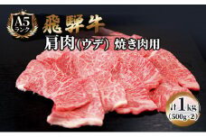 飛騨牛 焼肉 肩肉 (ウデ)  500g×2 計1kg A5 和牛 牛肉 ブランド牛 BBQ バーベキュー 贈り物 贈答 ギフト キャンプ アウトドア  炭火  保存に便利