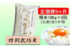 特別栽培米★[定期便] 5カ月★毎月 精米10kg（白米/7分/5分ツキ可）【ミルキークイーン】　玄米は別に出品 [№5644-1155]