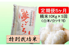 特別栽培米★[定期便] 5カ月★毎月 精米10kg（白米/7分/5分ツキ可）【夢ごこち】　玄米は別に出品 [№5644-1157]