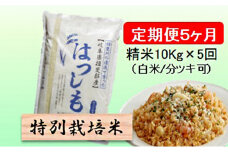 特別栽培米★[定期便] 5カ月★毎月 精米10kg（白米/7分/5分ツキ可）【ハツシモ】　玄米は別に出品 [№5644-1158]