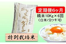 特別栽培米★[定期便] 6カ月★毎月 精米10kg（白米/7分/5分ツキ可）【ミルキークイーン】　玄米は別に出品 お米 令和7年産 低アミロース モチモチ お弁当 おにぎり 安心 安全 美味しい 糖質  [№5644-1159]