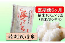 特別栽培米★[定期便] 6カ月★毎月 精米10kg（白米/7分/5分ツキ可）【夢ごこち】　玄米は別に出品 お米 令和7年産 低アミロース モチモチ お弁当 おにぎり 安心 安全 美味しい 糖質  [№5644-1161]