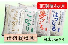 特別栽培米★[定期便] 4カ月★毎月 白米５kg 【ミルキークイーン・コシヒカリ・夢ごこち・ハツシモ】 [№5644-1163]