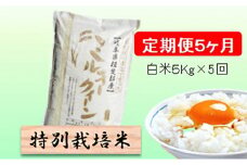 特別栽培米★[定期便] 5カ月★毎月 白米５kg 【ミルキークイーン】 [№5644-1164]