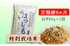 特別栽培米★[定期便] 5カ月★毎月 白米５kg 【ハツシモ】 [№5644-1167]