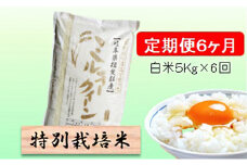 特別栽培米★[定期便] 6カ月★毎月 白米５kg 【ミルキークイーン】 お米 令和7年産 低アミロース モチモチ お弁当 おにぎり 安心 安全 美味しい 糖質  [№5644-1168]