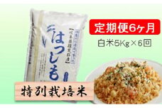 特別栽培米★[定期便] 6カ月★毎月 白米５kg 【ハツシモ】 お米 令和7年産 幻のお米 大粒 アッサリ お寿司 丼物 炒め物 安心 安全 美味しい  [№5644-1171]