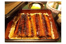 「うなぎ御膳」2名様食事券　池田温泉券付 [№5644-1218]
