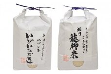 【頒布会】ＪＡいび川プレミアム米セット/白米5kg×2　3ヶ月連続 [№5644-1234]