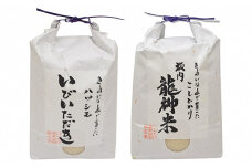 【頒布会】ＪＡいび川プレミアム米セット/白米5kg×2　6ヶ月連続 [№5644-1236]