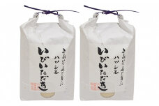 【頒布会】ＪＡいび川プレミアム米「いびいただき」/白米3kg×2　6ヶ月連続 [№5644-1240]