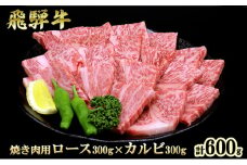 飛騨牛 焼肉 ロース＆カルビ セット 計600g A5 和牛 牛肉 ブランド牛 お肉 霜降り ロース カルビ 食べ比べ 焼肉用 バーベキュー BBQ キャンプ アウトドア  炭火　よくばり　保存に便利　