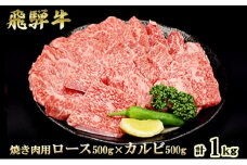 飛騨牛 焼肉 ロース＆カルビ セット 計1kg A5 和牛 牛肉 ブランド牛 お肉 霜降りロース カルビ 食べ比べ 焼肉用 バーベキュー BBQ キャンプ アウトドア  炭火　よくばり　各500g　保存に便利