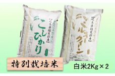 特別栽培米★白米４kg 【コシヒカリ・ミルキークイーン】 [№5644-1312]