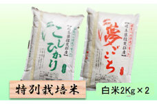 特別栽培米★白米４kg 【コシヒカリ・夢ごこち】 [№5644-1313]