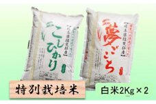特別栽培米★白米４kg 【コシヒカリ・夢ごこち】 [№5644-1313]