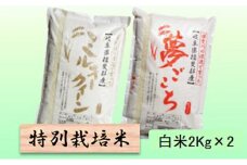 特別栽培米★白米４kg 【ミルキークイーン・夢ごこち】 [№5644-1314]