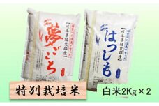 特別栽培米★白米４kg 【夢ごこち・ハツシモ】 [№5644-1317]