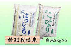 特別栽培米★白米４kg 【ハツシモ・コシヒカリ】 [№5644-1315]