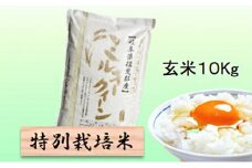 特別栽培米★玄米10kg 【ミルキークイーン】 [№5644-1330]