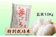 特別栽培米★玄米10kg 【夢ごこち】 [№5644-1332]