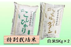 特別栽培米★白米10kg 【コシヒカリ・ミルキークイーン】各5Kg [№5644-1334]