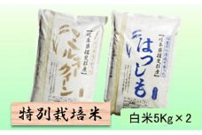特別栽培米★白米10kg 【ミルキークイーン・ハツシモ】各5Kg [№5644-1338]