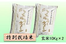 特別栽培米★玄米20kg【ミルキークイーン】10Kg×2 [№5644-1344]