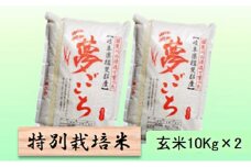 特別栽培米★玄米20kg【夢ごこち】10Kg×2 [№5644-1346]