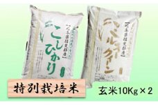 特別栽培米★玄米20kg 【コシヒカリ・ミルキークイーン】各10Kg [№5644-1354]
