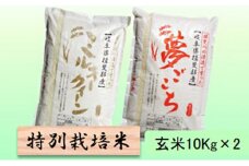 特別栽培米★玄米20kg【ミルキークイーン・夢ごこち】各10Kg [№5644-1356]