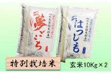 特別栽培米★玄米20kg【夢ごこち・ハツシモ】各10Kg [№5644-1359]