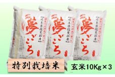 特別栽培米★玄米30kg【夢ごこち】10Kg×3 [№5644-1366]
