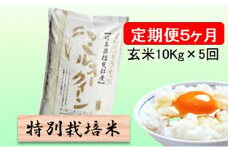 特別栽培米★[定期便] 5カ月★毎月 玄米10kg【ミルキークイーン】 [№5644-1369]