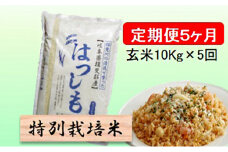 特別栽培米★[定期便] 5カ月★毎月 玄米10kg【ハツシモ】 [№5644-1372]