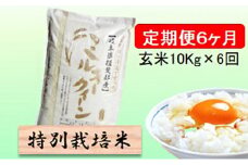 特別栽培米★[定期便] 6カ月★毎月 玄米10kg【ミルキークイーン】 [№5644-1373]