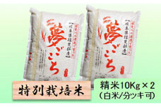 特別栽培米★精米20kg（白米/5分/7分ツキ可）【夢ごこち】 玄米は別に出品　　7分ヅキ [№5644-7052]1342
