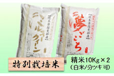 特別栽培米★精米20kg（白米/5分/7分ツキ可）【ミルキークイーン・夢ごこち】 玄米は別に出品　　5分ヅキ [№5644-7065]1350