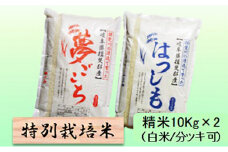 特別栽培米★精米20kg（白米/5分/7分ツキ可）【夢ごこち・ハツシモ】 玄米は別に出品　　白米 [№5644-7072]1353