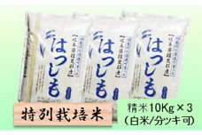 特別栽培米★精米30kg（白米/5分/7分ツキ可）【ハツシモ】 玄米は別に出品　　5分ヅキ [№5644-7086]1363