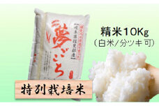 特別栽培米★精米10kg（白米/5分/7分ツキ可）【夢ごこち】 玄米は別に出品　　白米 [№5644-7093]1379