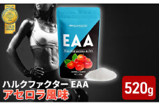 モンドセレクション金賞 ハルクファクター EAA アセロラ風味 人工甘味料不使用 大容量 520g 必須アミノ酸 BCAA プロテイン 人気 おいしい 筋トレ サプリメント 美容 燃焼系 ダイエット サプリ  国産