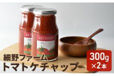 トマトケチャップ(300g)　2本入り [№5644-1470]