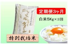 特別栽培米★[定期便] 3カ月★毎月 白米5kg 【ミルキークイーン】 米 お米 白米 ミルキー クイーン 定期 岐阜県 池田町 [№5644-1549]